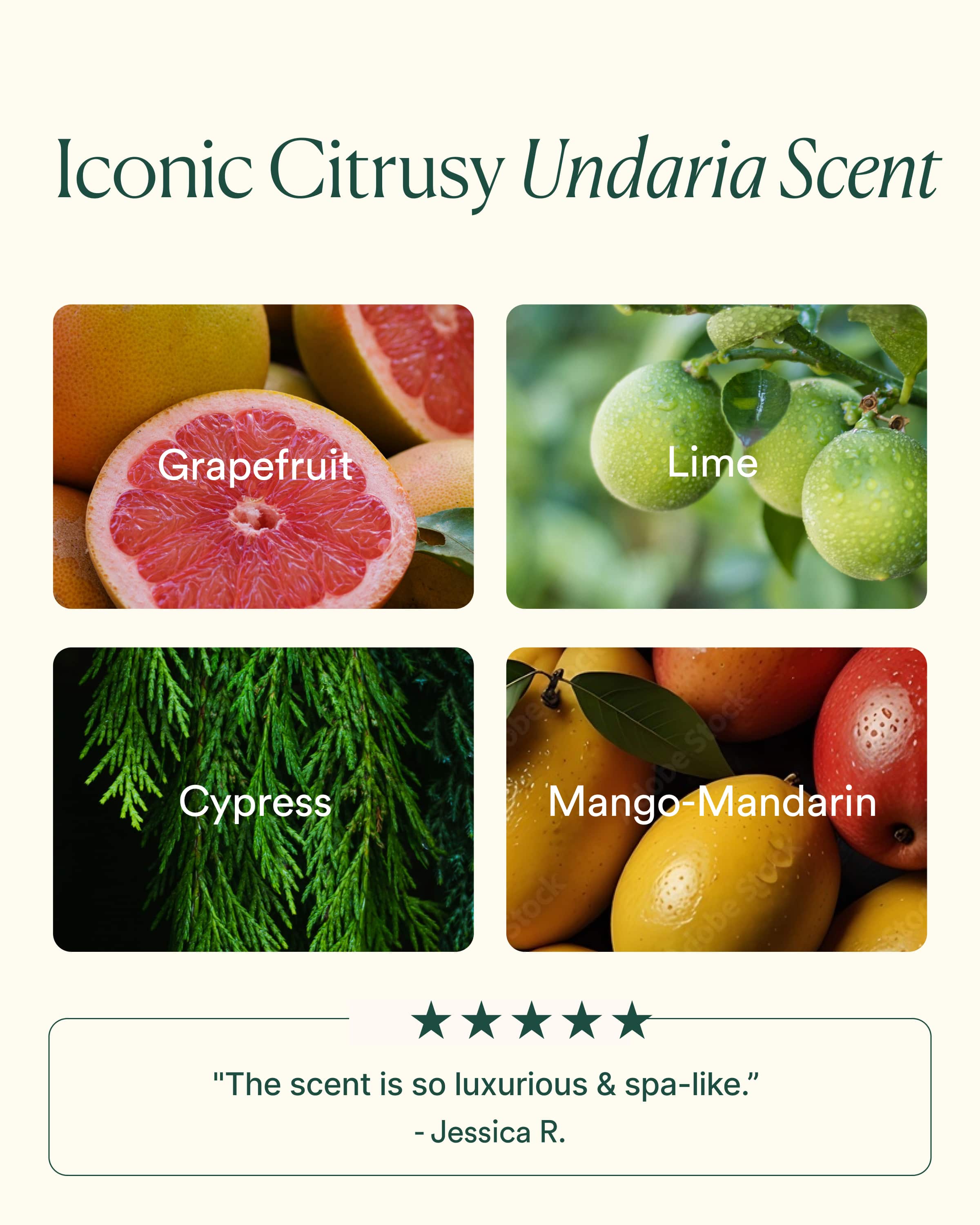Undaria Hydrate & Glow Duo - Image 6