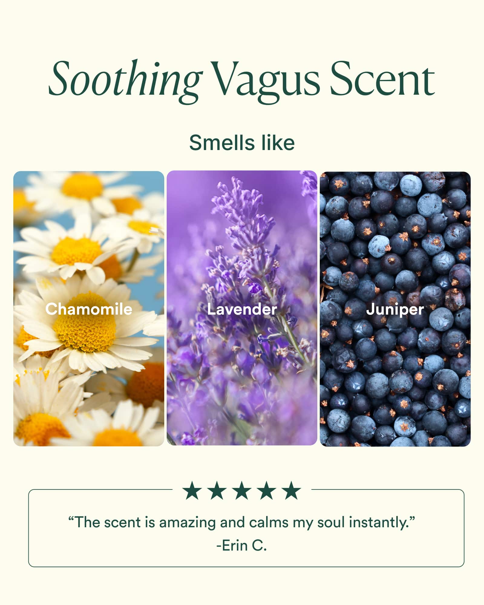 Vagus Nerve Travel Set - Image 6